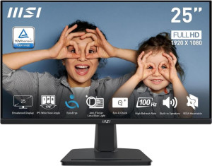 Professional Series Monitor  (MSI PRO MP225)