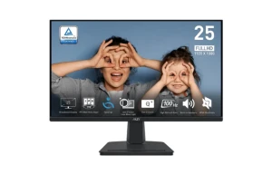 Professional Series Monitor  (MSI Pro MP251)
