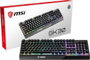 Gaming Keyboard     (Vigor GK30 US)